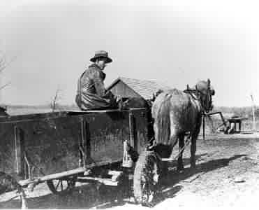 Edward Crawford in farm wagon