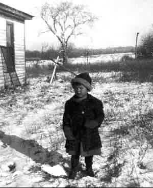 Robert Crawford